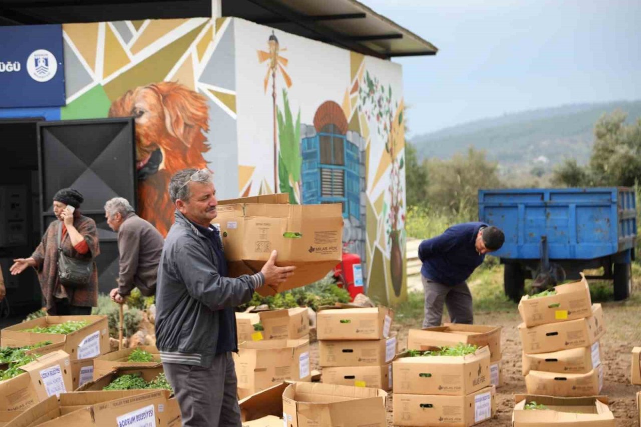 Bodrum’da 350 bin fide dağıtıldı