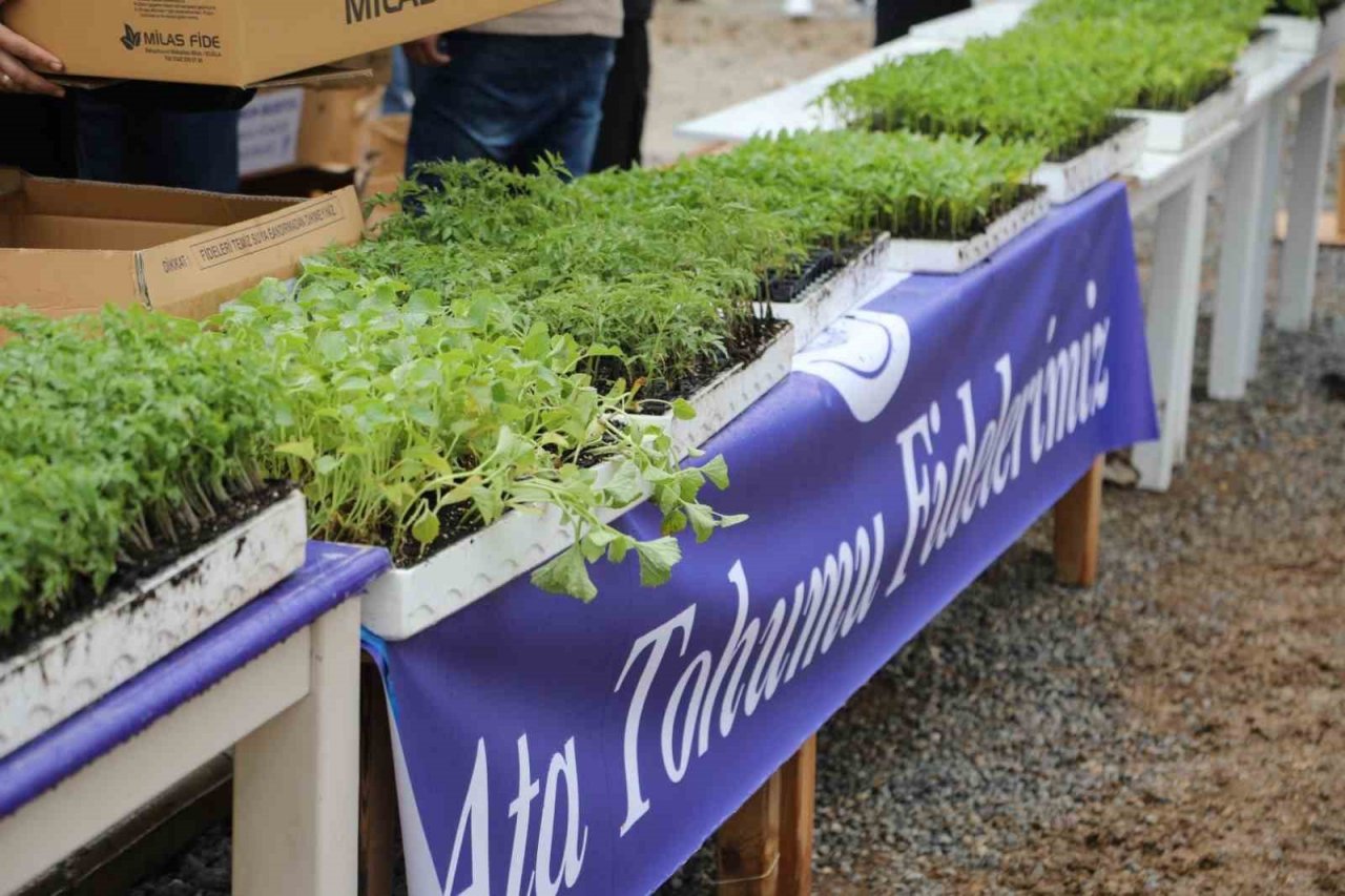 Bodrum’da 350 bin fide dağıtıldı