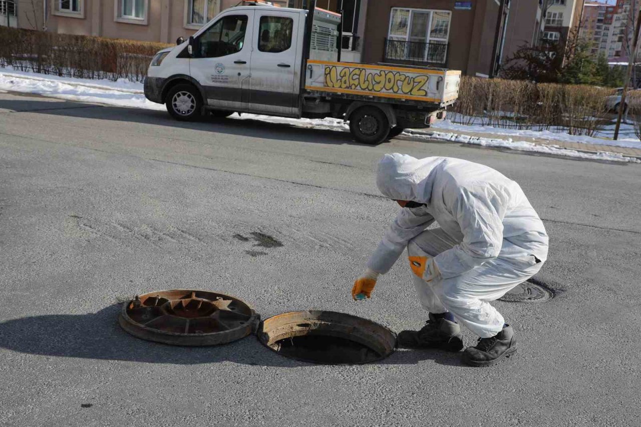 Talas’ta sinek ve haşerata erken önlem