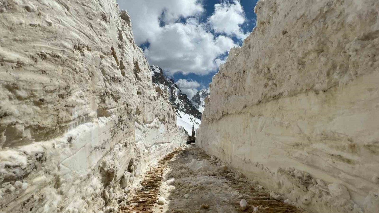 Hakkari’de 5 metreyi bulan karda yol açma çalışması