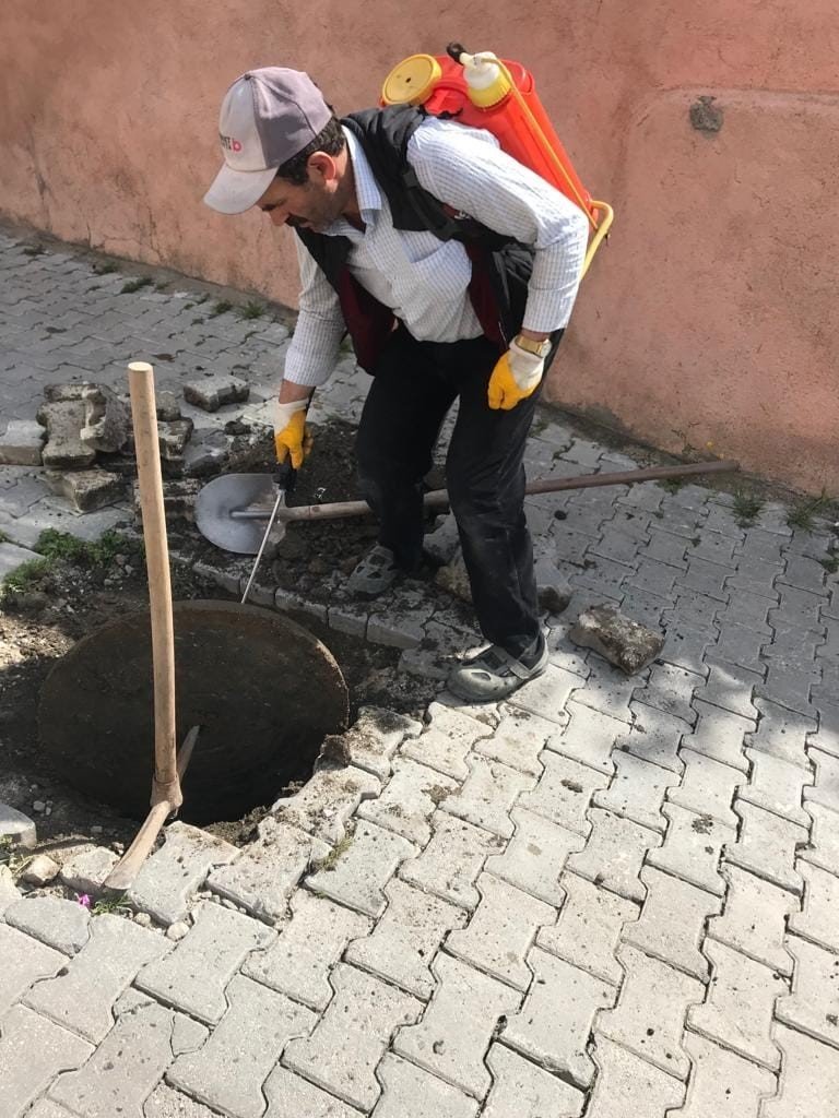 Keban’da haşere ile mücadele çalışması başladı