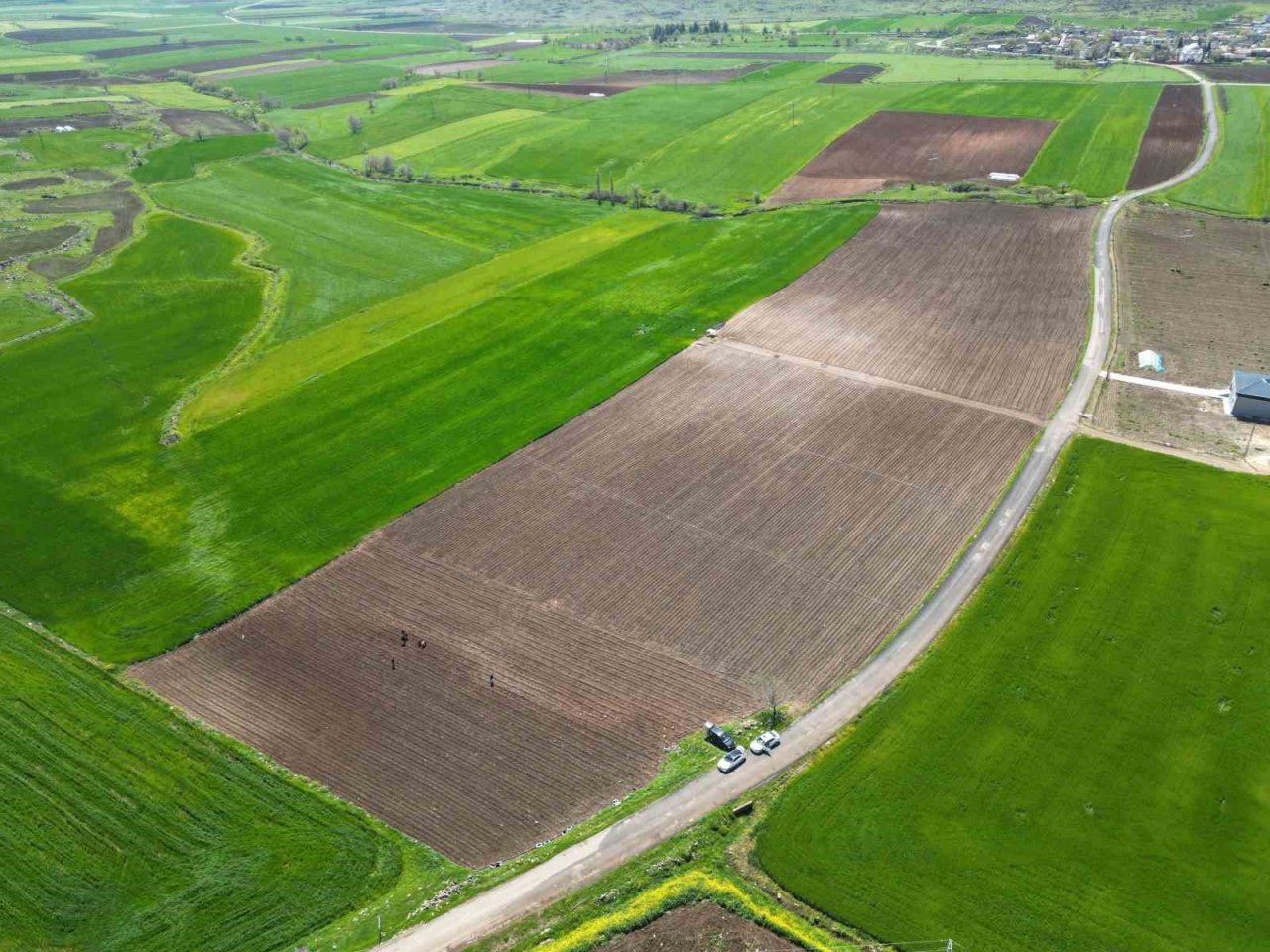 Kilisin en küçük ilçesi Polateli’nde domates fidesi toprakla buluştu