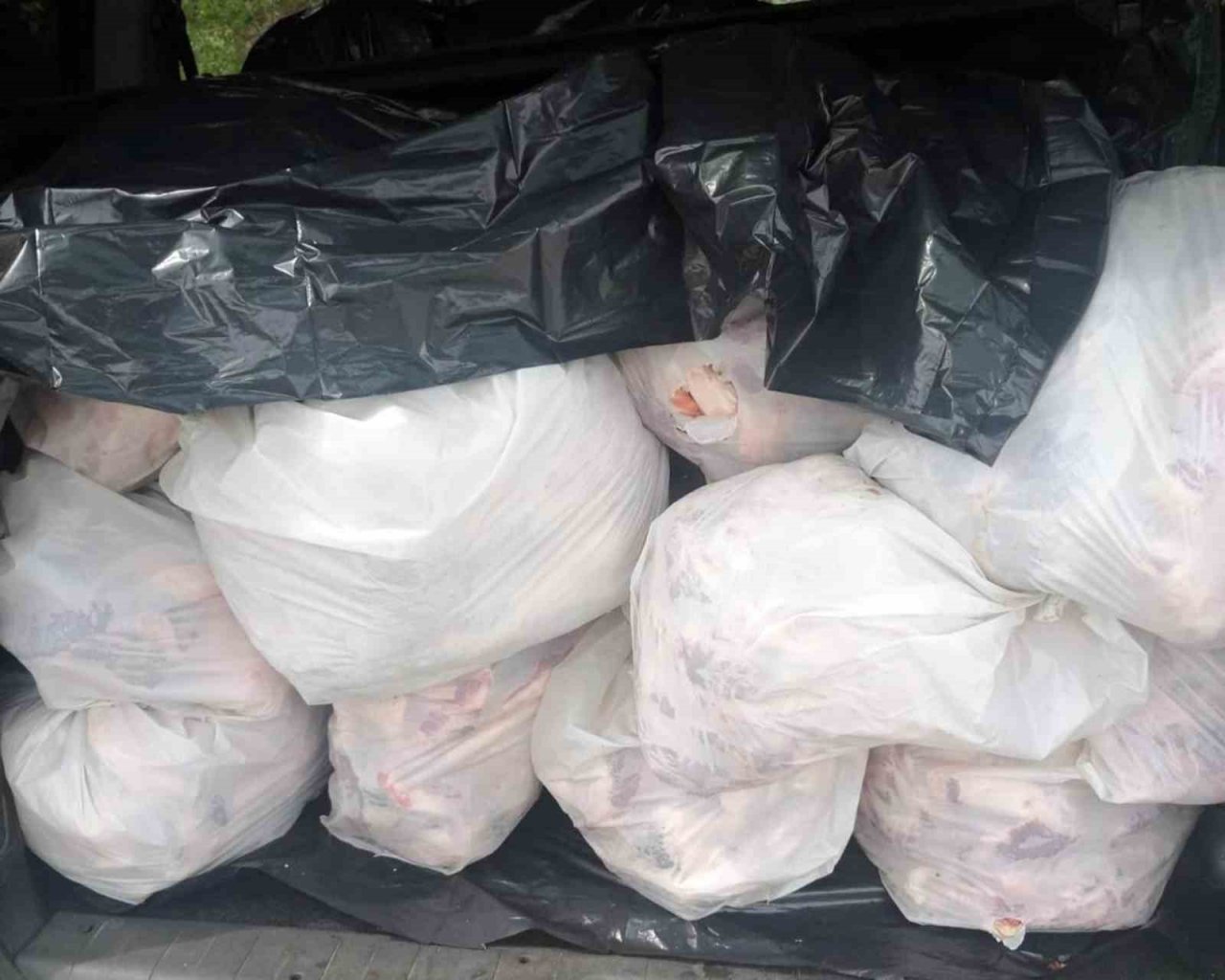 Menteşe’de 563 kilo kaçak et yakalandı