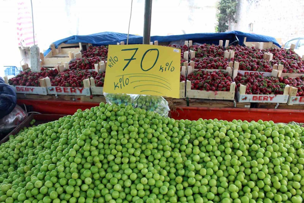 Mevsimin vazgeçilmezi erik, tezgahta 70 liradan satılıyor