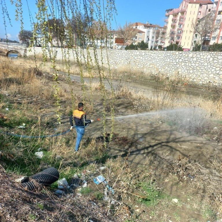 Sungurlu’da vektörel mücadele sürüyor