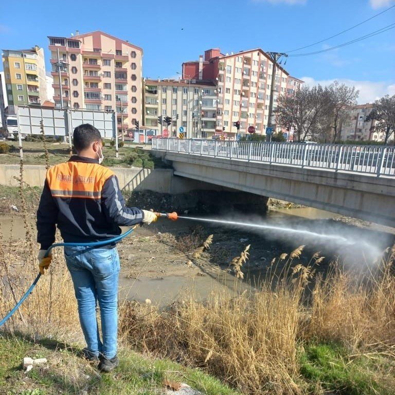 Sungurlu’da vektörel mücadele sürüyor