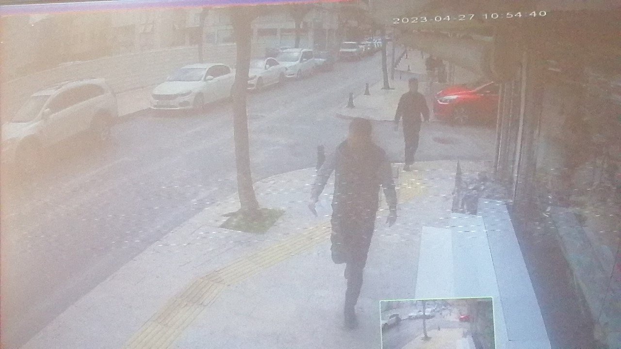 Seçmen bilgi kağıdı dağıtan muhtar, sokak köpeklerinin saldırısına uğradı