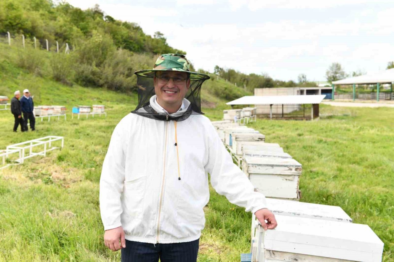 Türkiye’nin ilk arı pazarı Bursa’da kuruldu