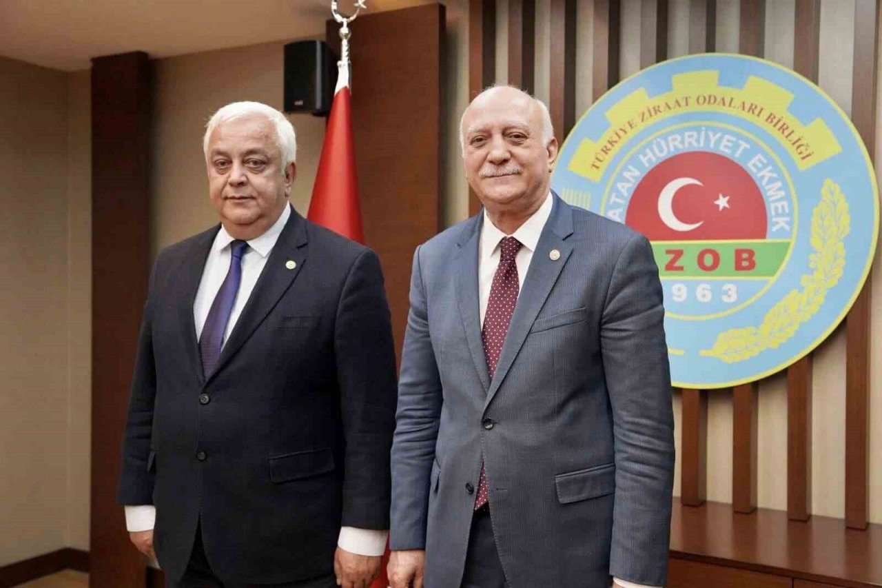 Diker, zeytinyağında tağşiş ve taklide dikkatleri çekti