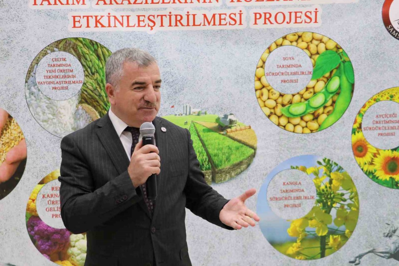 Üreticiye yağlık ayçiçeği tohumu desteği