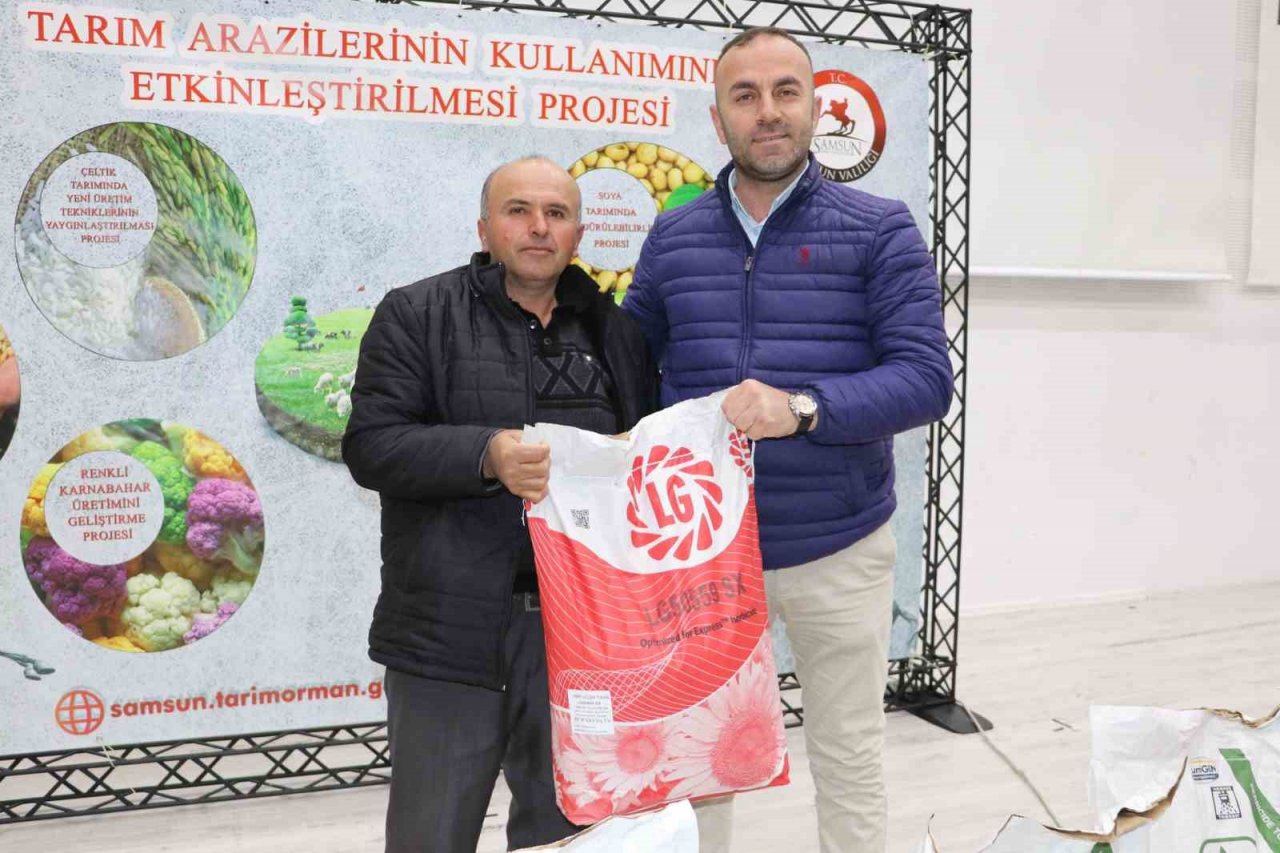 Üreticiye yağlık ayçiçeği tohumu desteği