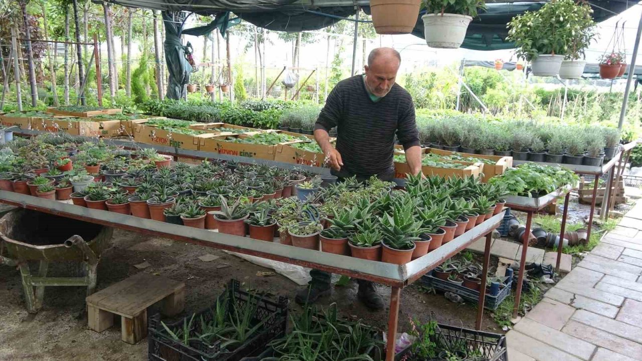 Artan çiçek satışları Hatay’da bu sefer yüz güldürmedi