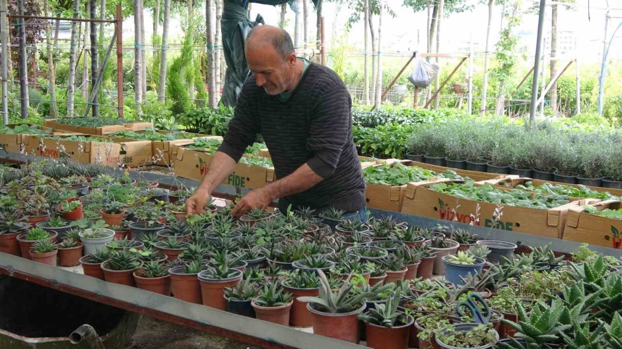 Artan çiçek satışları Hatay’da bu sefer yüz güldürmedi