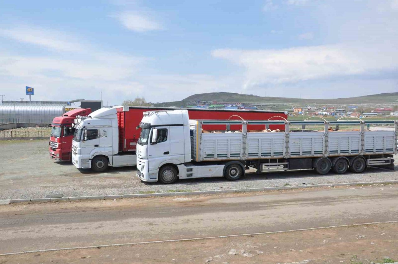 Kars’ta Hayvan Pazarı’nda ilk gün bereketi