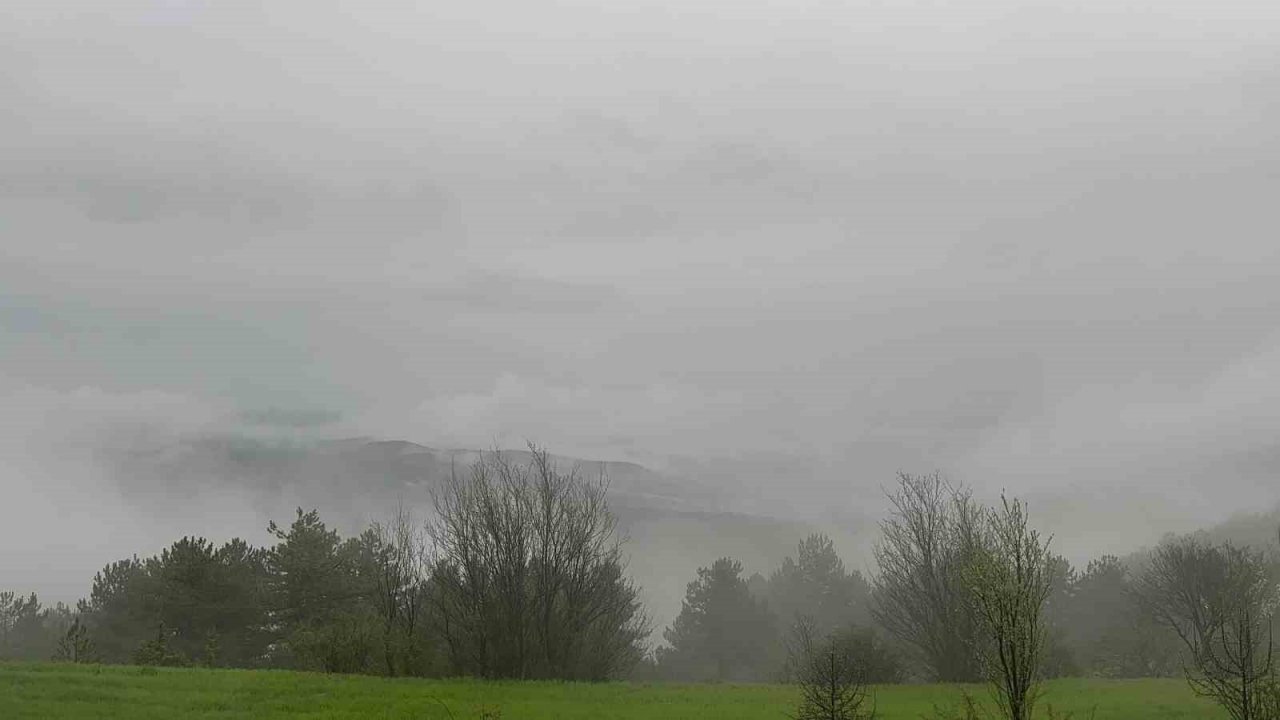 Baharda sisle buluşan Ilgaz Dağı’nın eteklerinde ortaya çıkan manzara mest etti