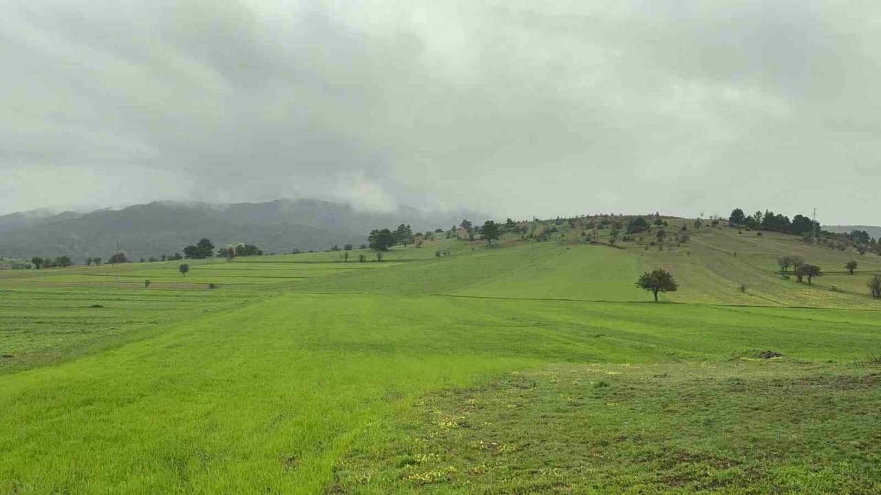 Baharda sisle buluşan Ilgaz Dağı’nın eteklerinde ortaya çıkan manzara mest etti