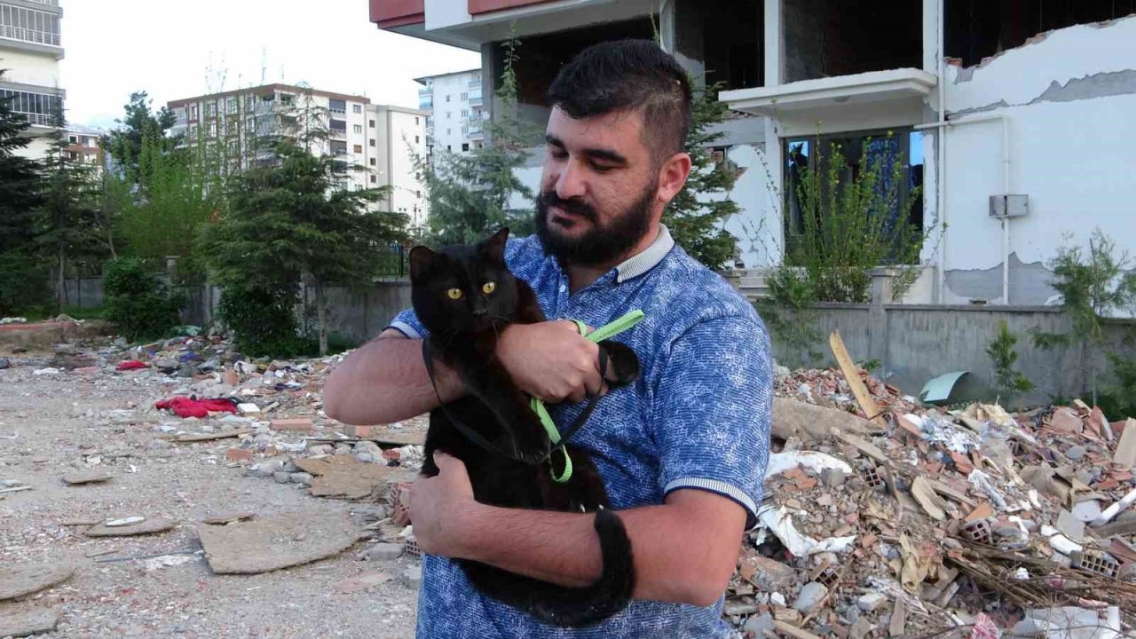 Depremde yıkılan evinin enkazında 11 gün sonra bulunan kedisine gözü gibi bakıyor