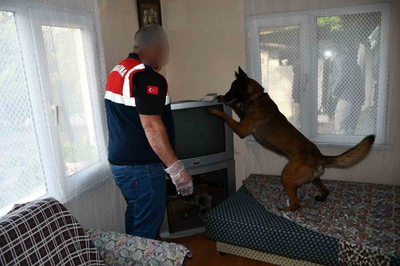 Akhisar’da kökünü kurutma operasyonu: 25 gözaltı