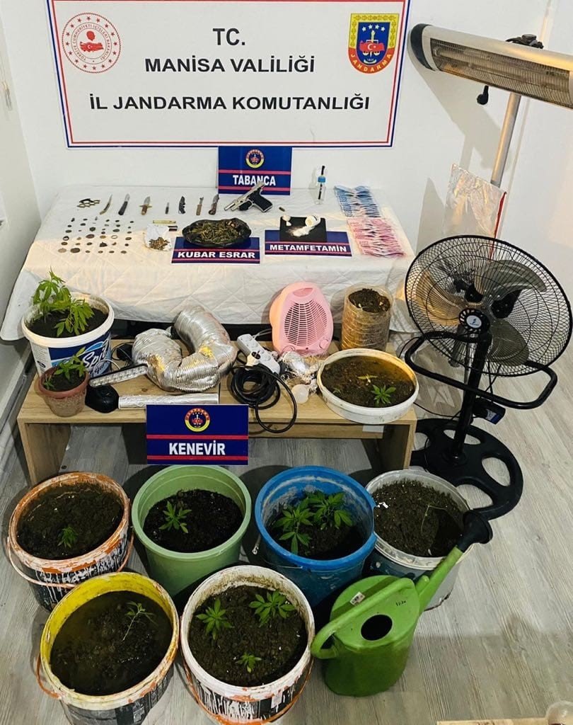 Çatı katında kenevir yetiştiren iki kişi yakalandı