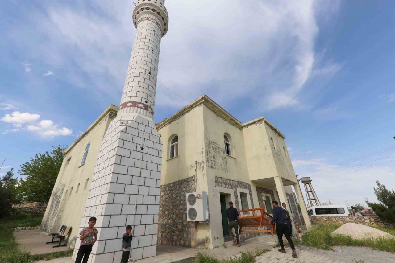 Mardin’de sosyal yaşam evlerine sedir dağıtımı başladı