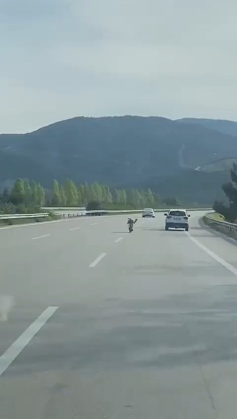 Otobanda canlarını hiçe sayarak böyle gittiler