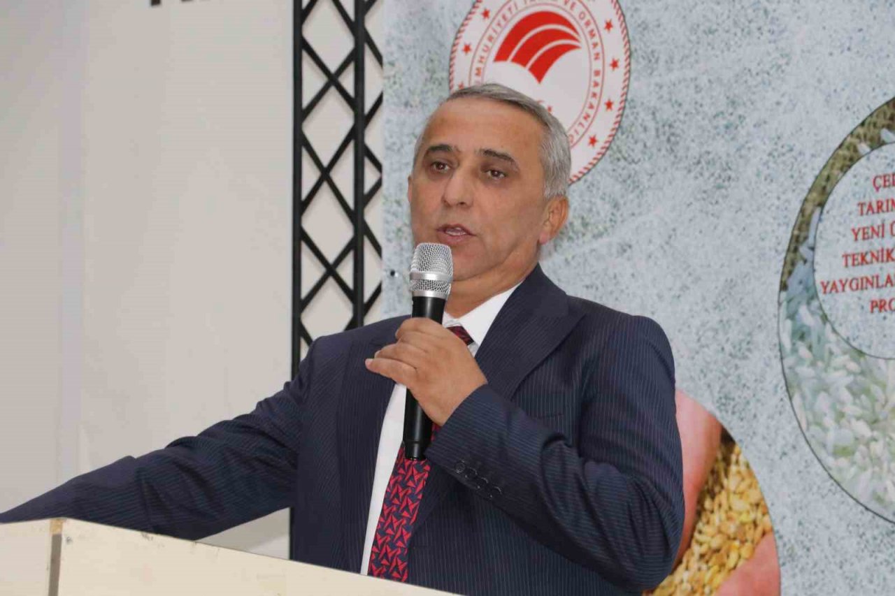 Üreticiye yağlık ayçiçeği tohumu desteği