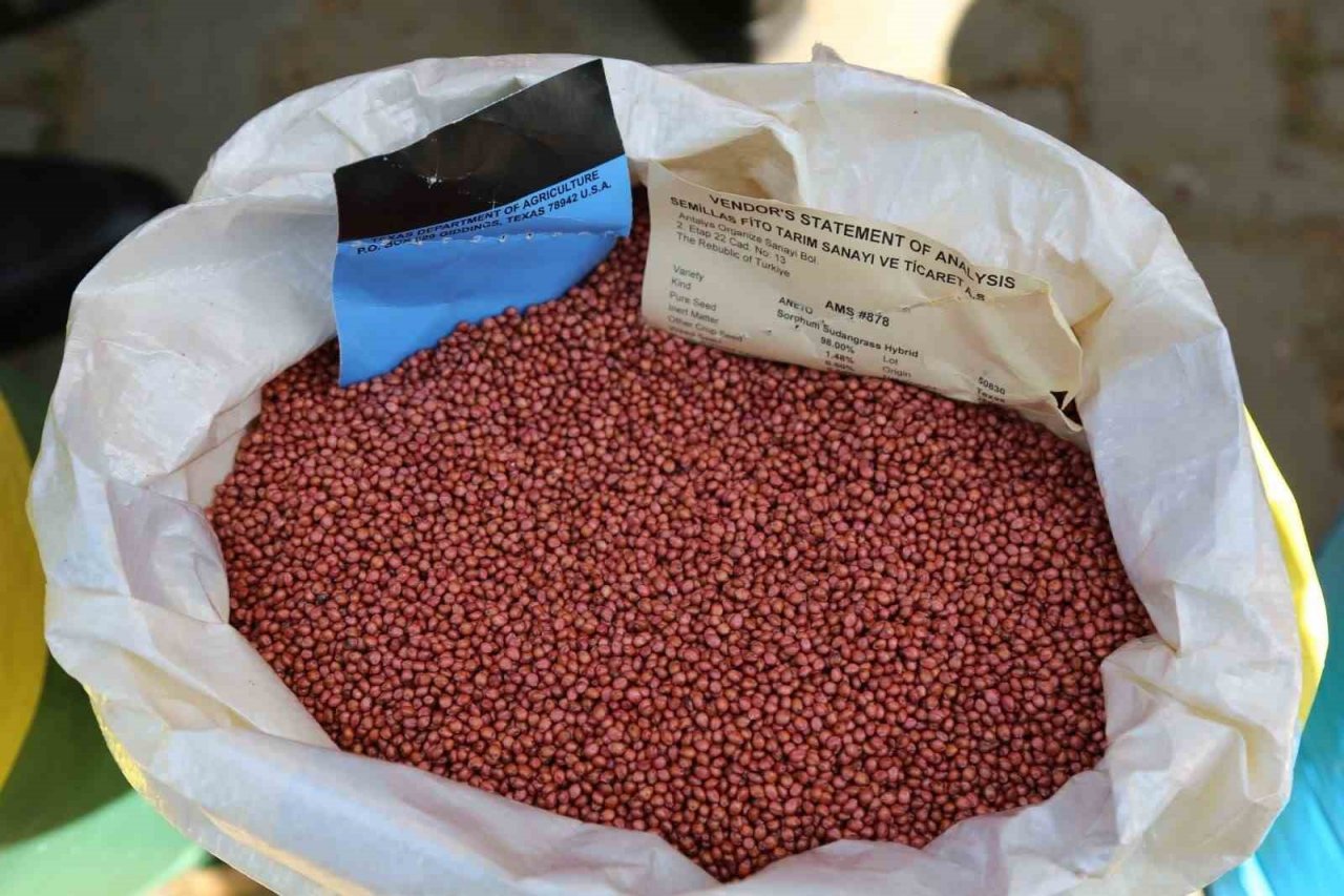 İklim dostu tohumlar çiftçilerle teslim edildi