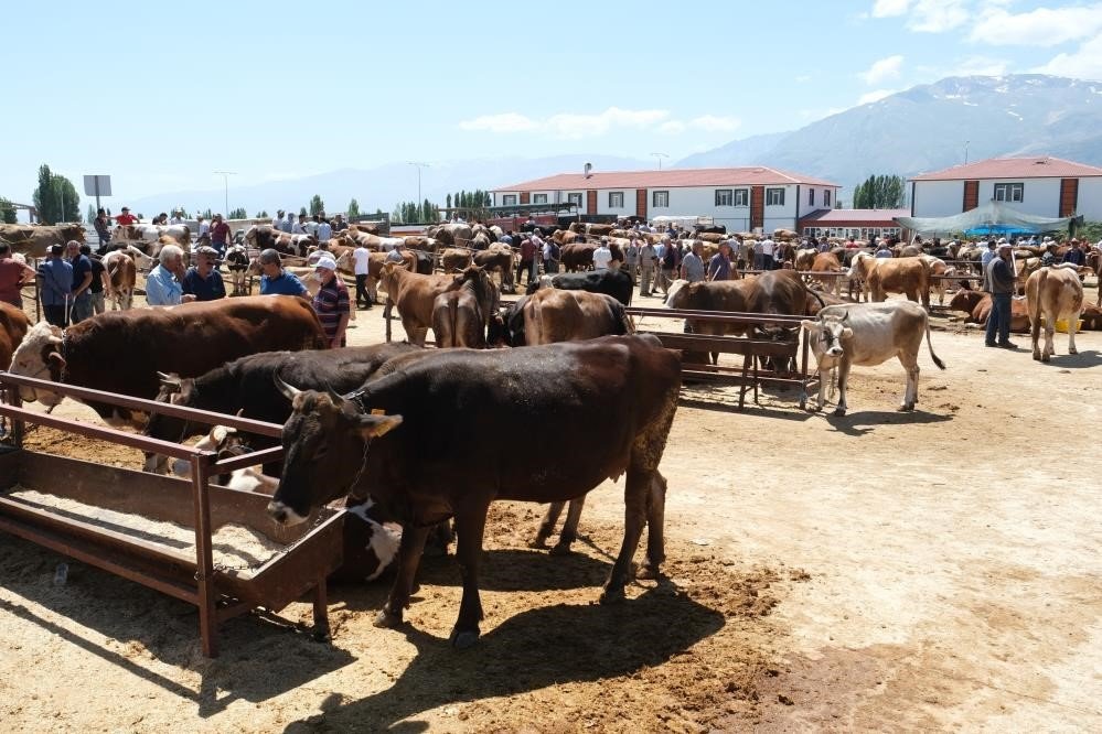 Erzincan canlı hayvan pazarı yeniden açıldı