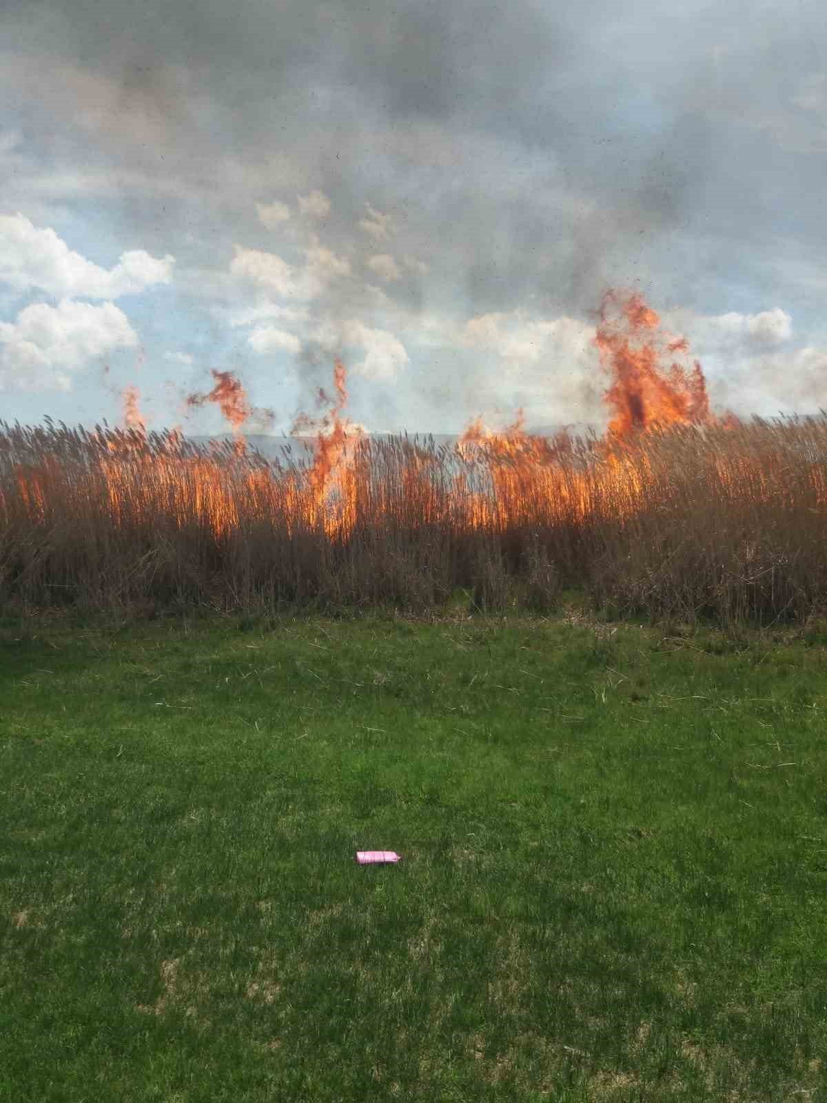 Van’da sazlık alanlarda yangın