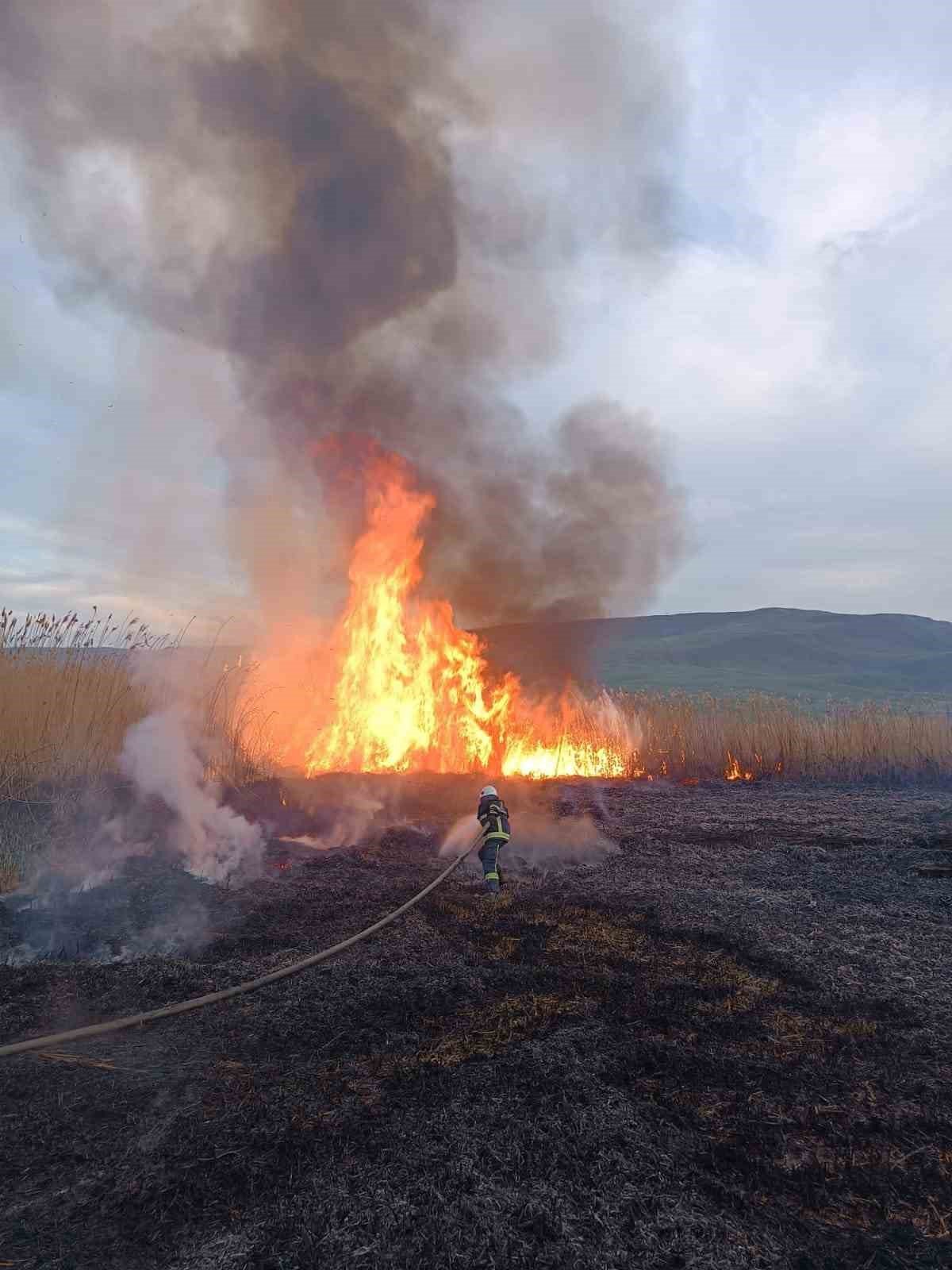 Van’da sazlık alanlarda yangın