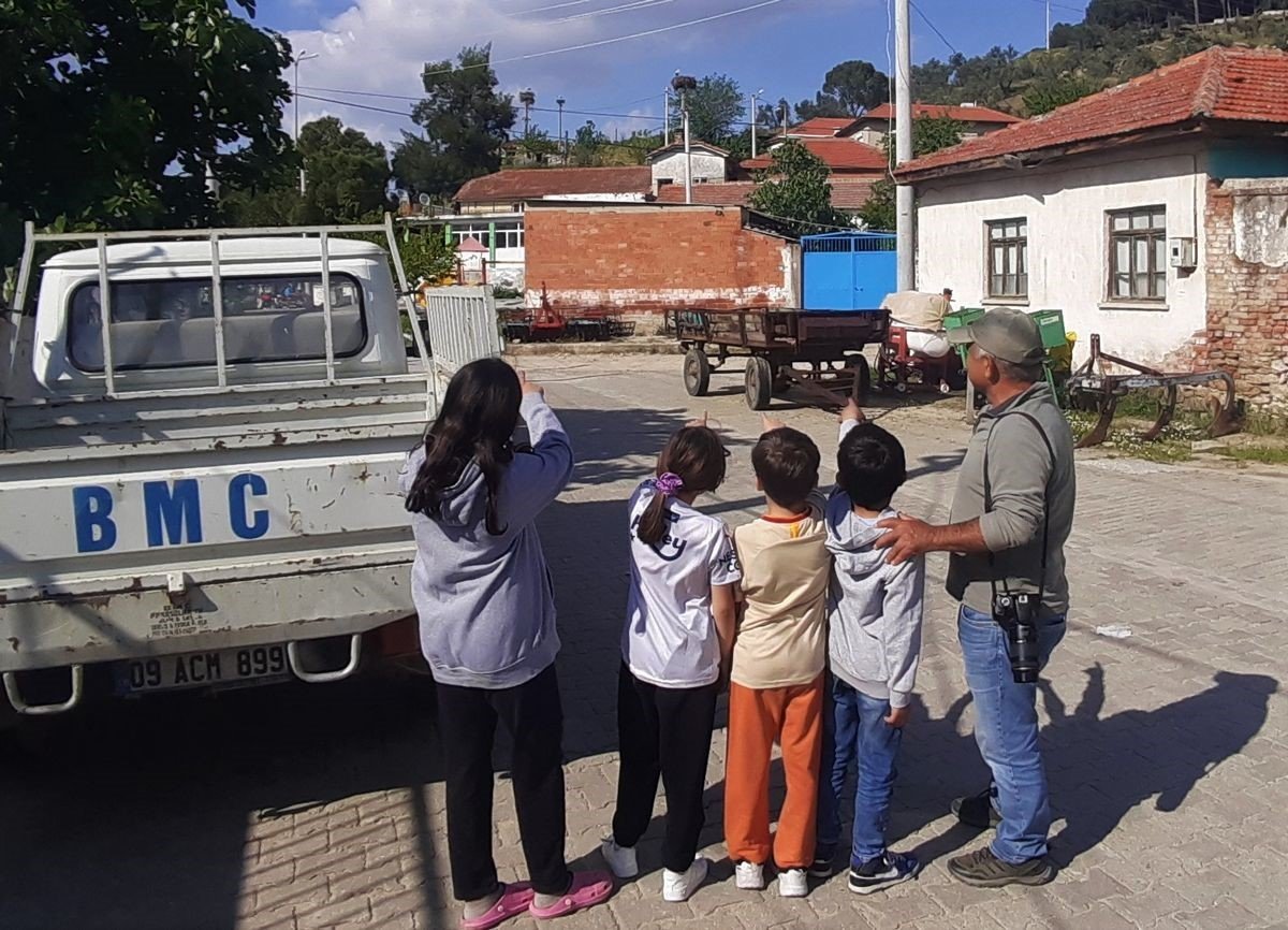 Aydın’da leylek sayımları tamamlandı