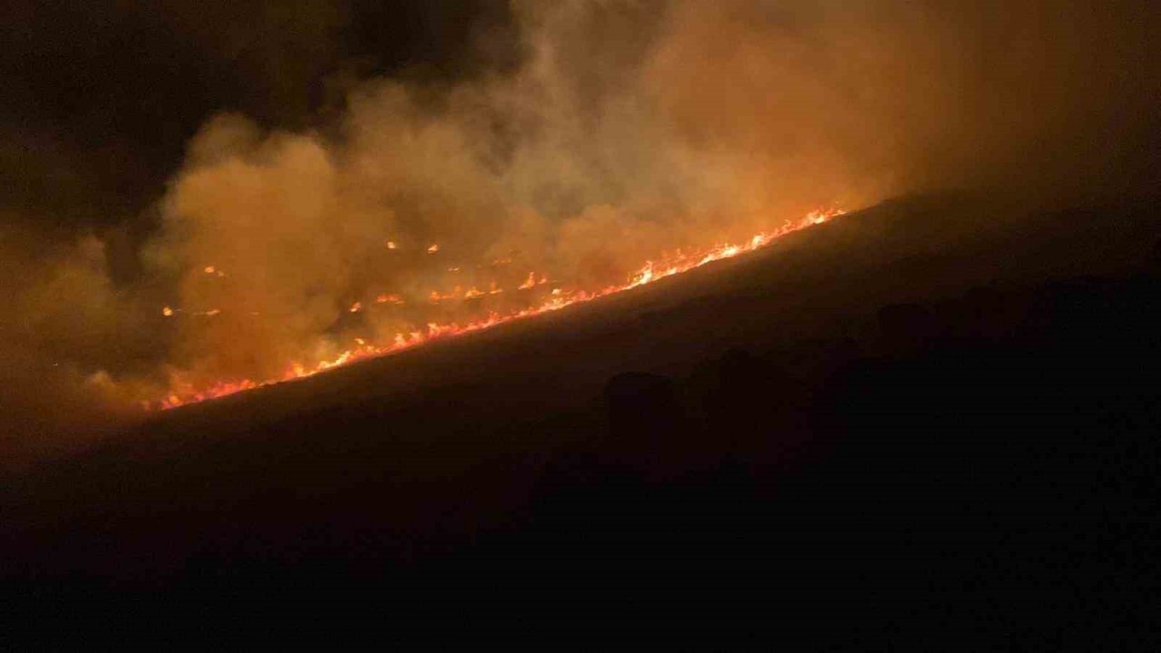 Bodrum’da otluk ve makilik arazide yangın