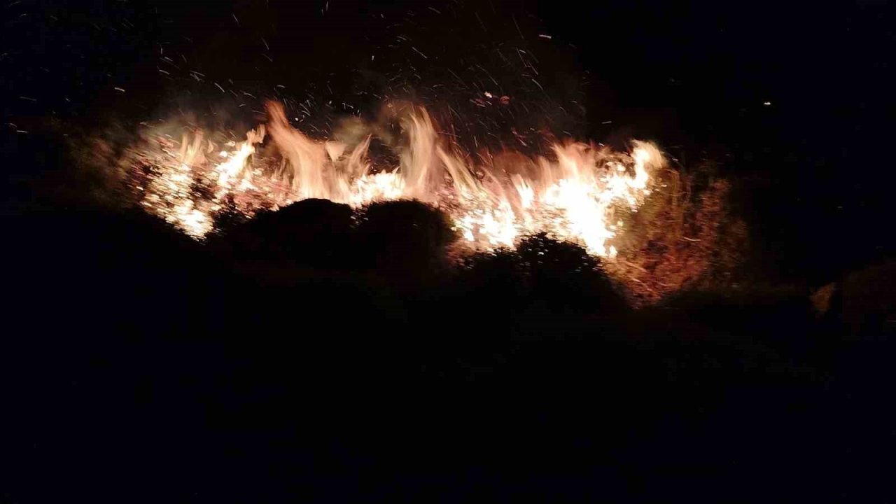 Bodrum’da otluk ve makilik arazide yangın