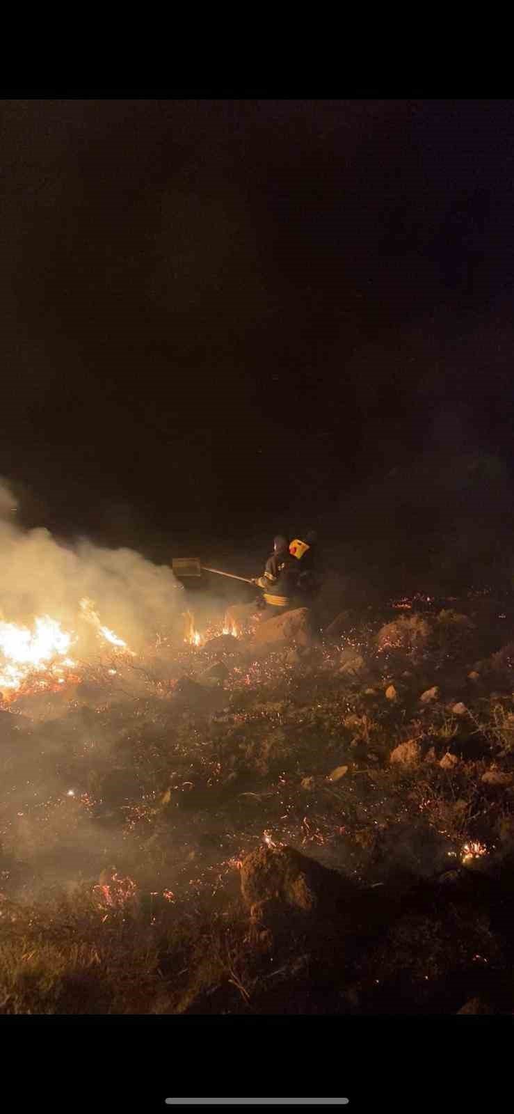 Bodrum’da otluk ve makilik arazide yangın