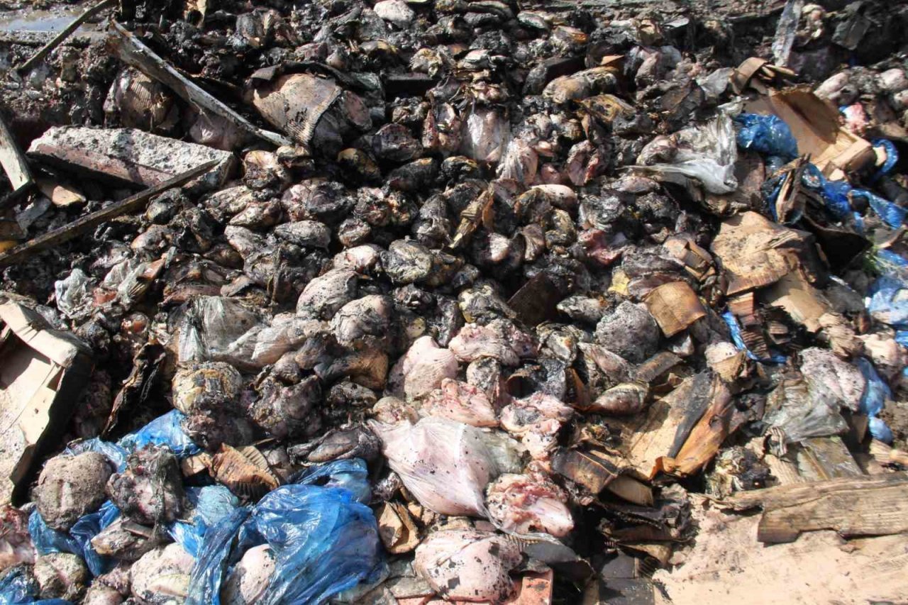 Elazığ’da yanan tavuk fabrikası havadan görüntülendi