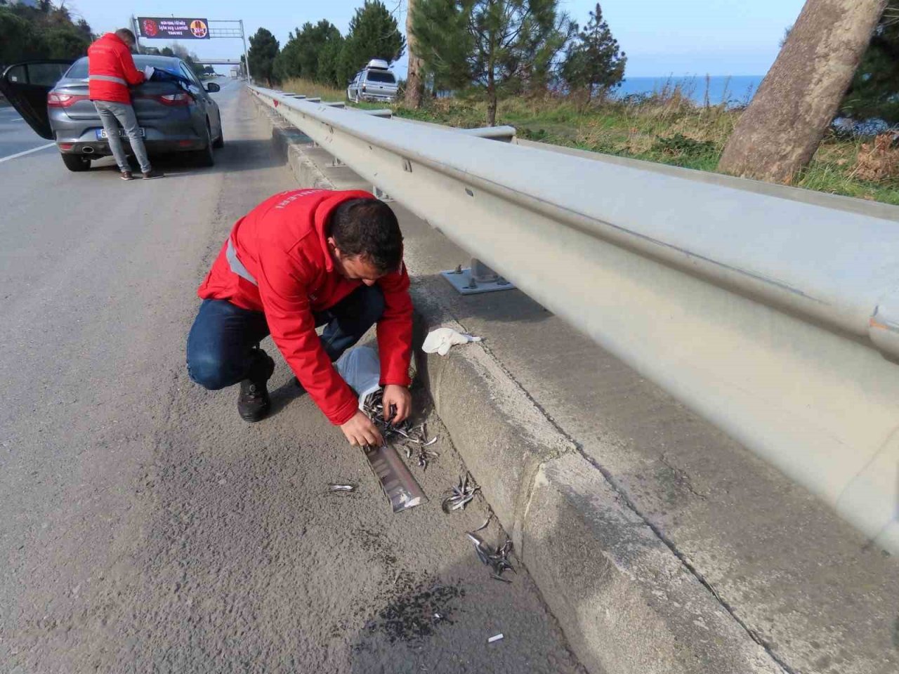 Trabzon’da 2022-2023 balık avı sezonu boyunca toplam 23 ton hamsiye el konuldu