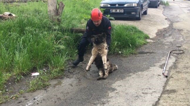 Akar borusuna sıkışan köpeği itfaiye ekipleri kurtardı