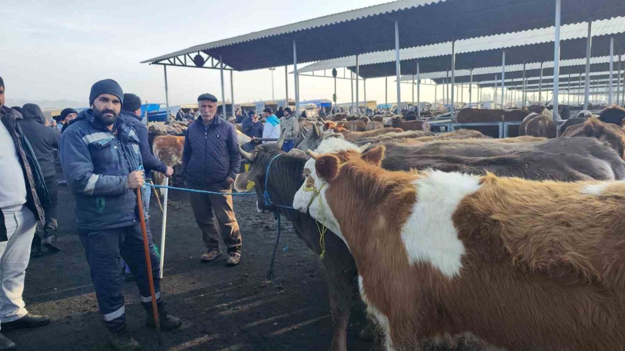Şap tehlikesiyle kapatılmıştı, açılmasına günler kaldı