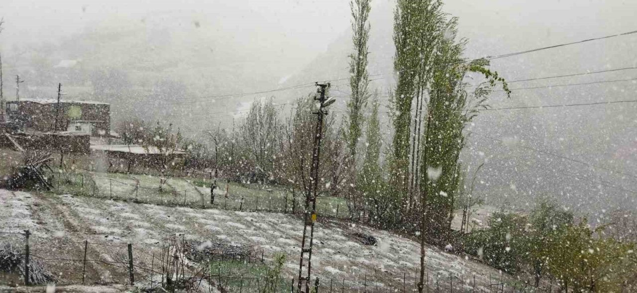 Batman nisan ayının son gününde yağan karla beyaza büründü