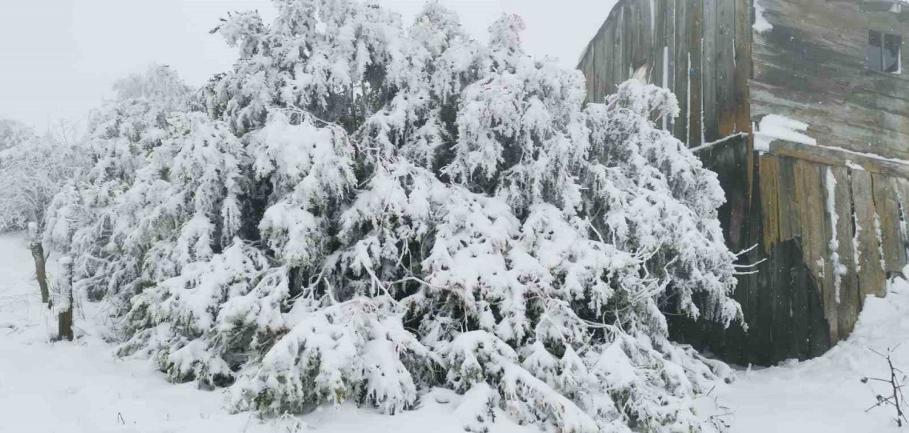 Nisan ayında yağan kar köylülere zor anlar yaşattı