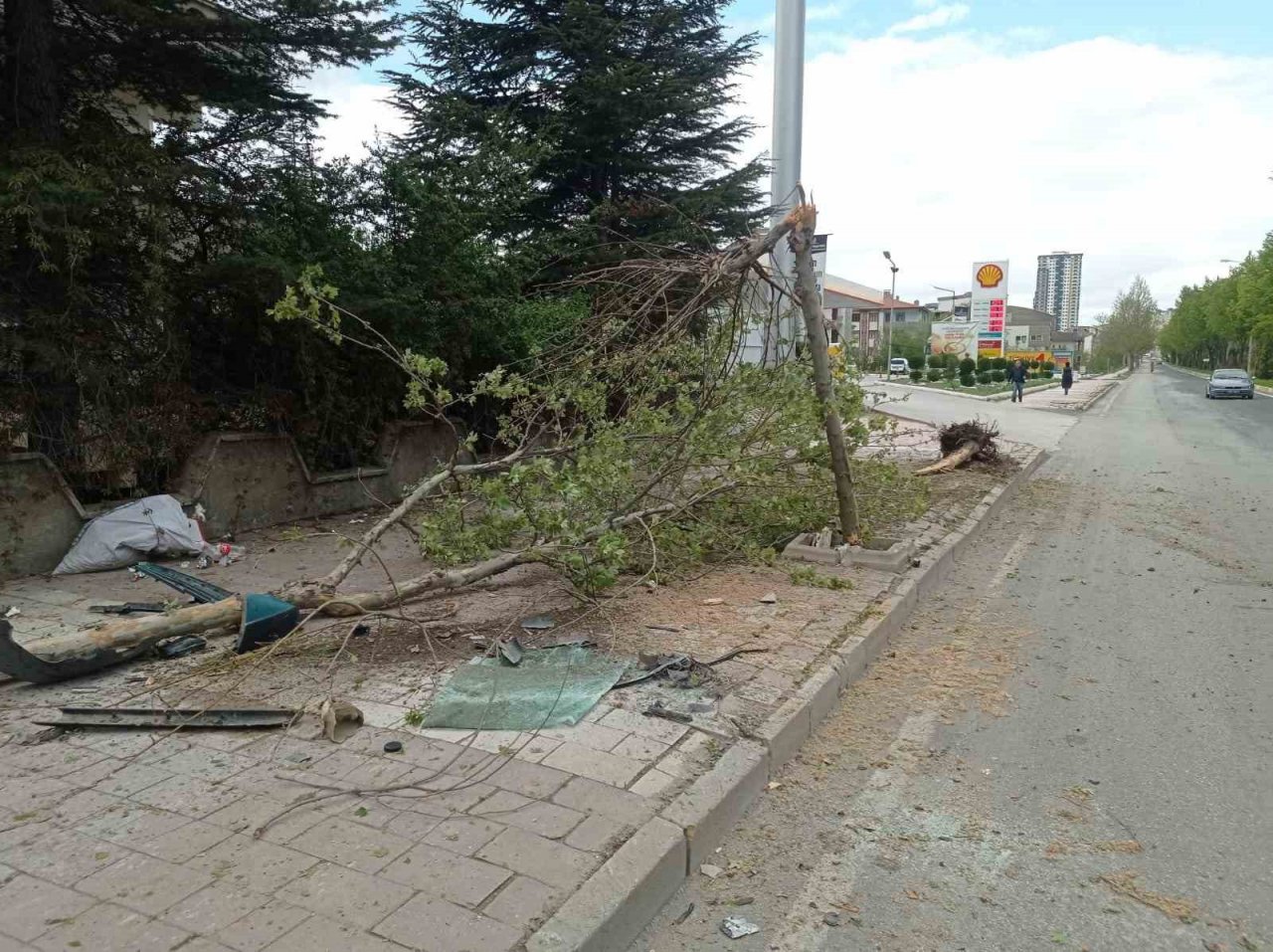 Elazığ’da otomobil ağaca çarptı: 1 yaralı
