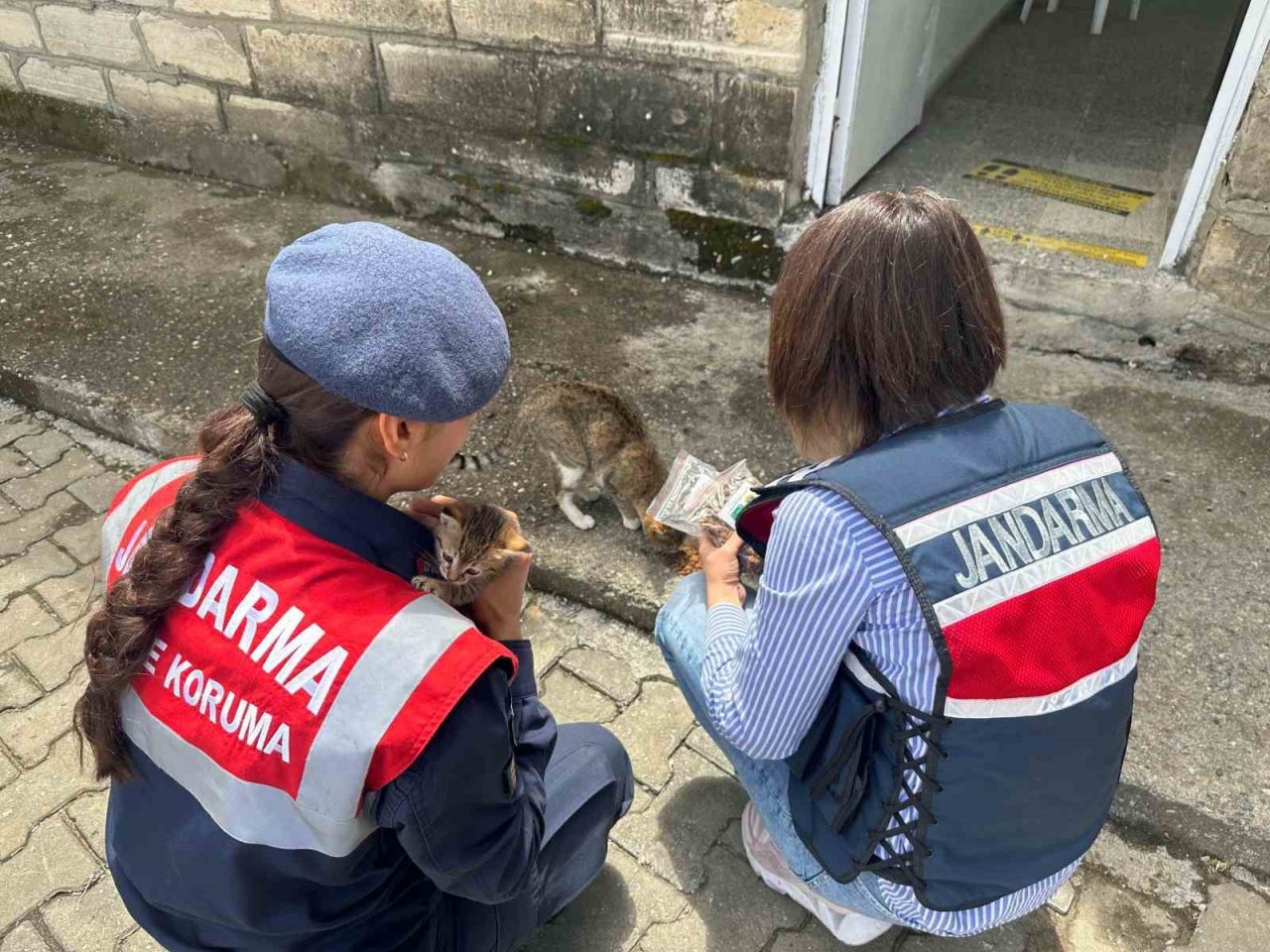 Jandarma orman yangınlarına karşı bilgilendirdi