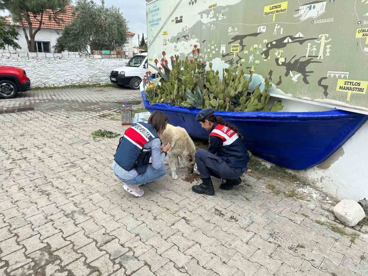 Jandarma orman yangınlarına karşı bilgilendirdi