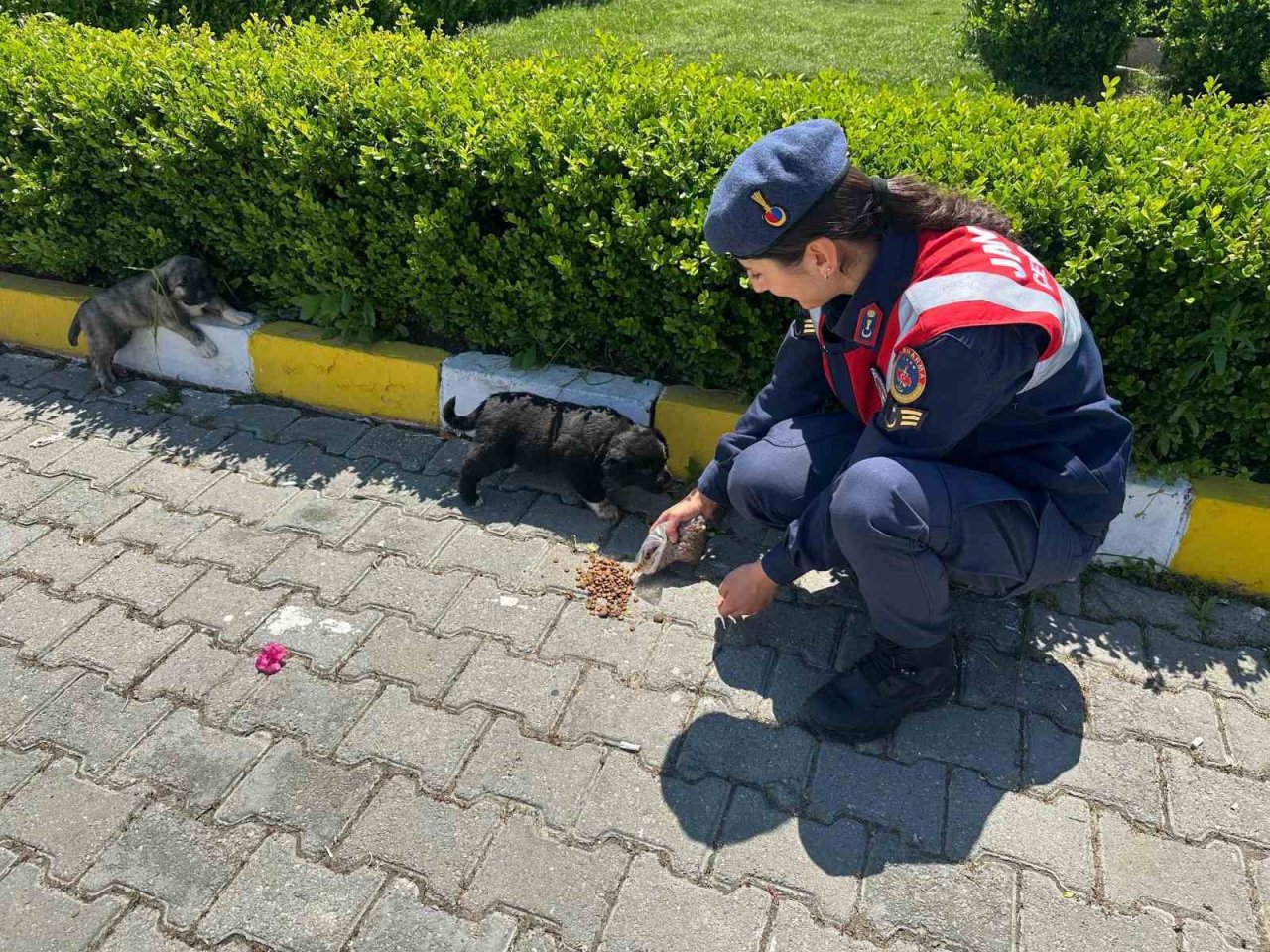 Jandarma orman yangınlarına karşı bilgilendirdi