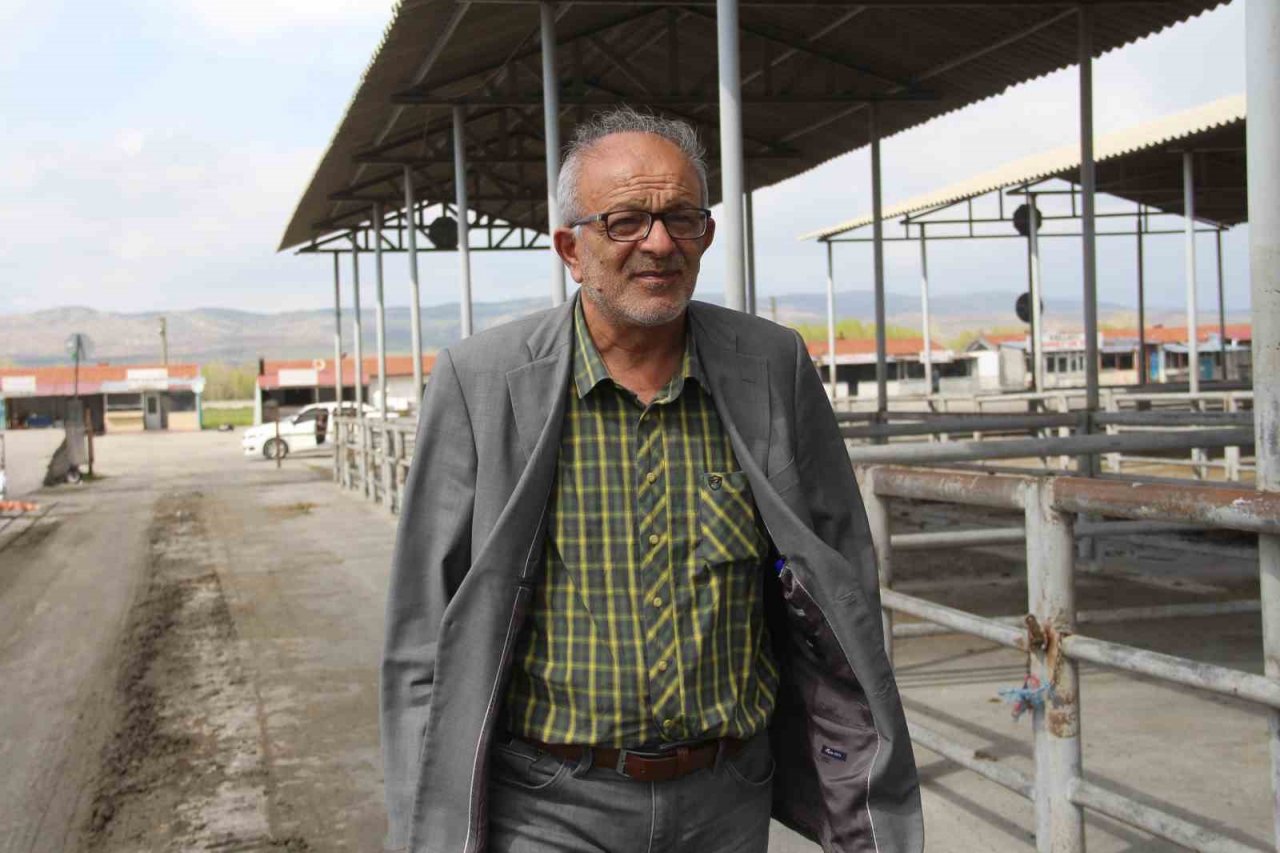 Şap tehlikesiyle kapatılmıştı, açılmasına günler kaldı