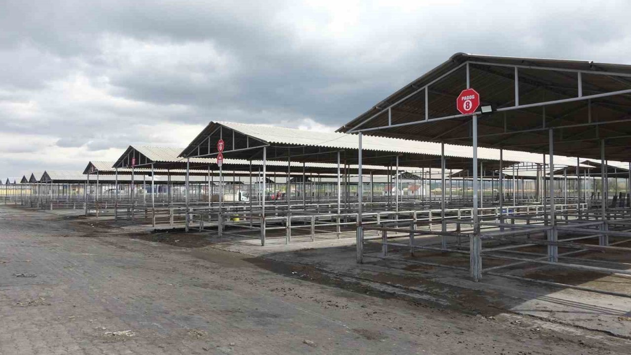 Şap tehlikesiyle kapatılmıştı, açılmasına günler kaldı