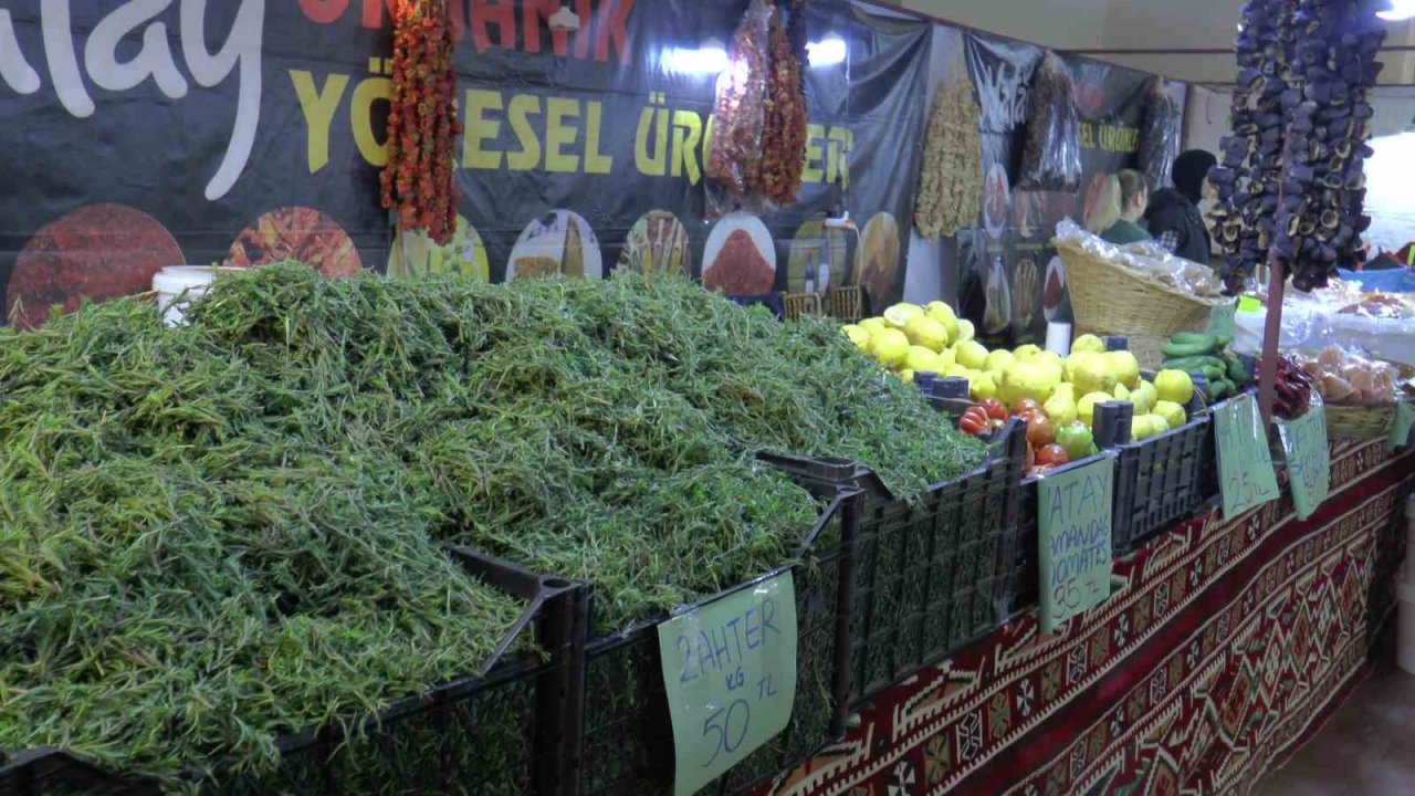 Kayseri Yöresel Ürünler ve Bahçe Botanik Fuarı ziyaretçilerini ağırlamaya devam ediyor