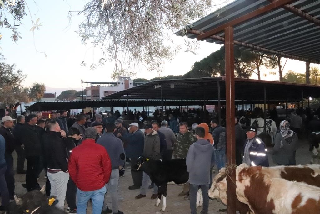 Aydın’da 50 gün aradan sonra hayvan pazarları açıldı