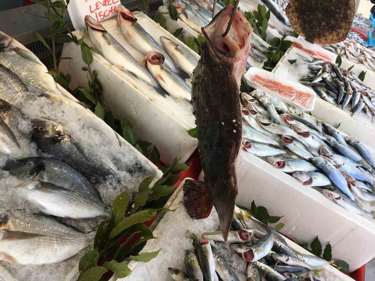 Alaplı’da balık fiyatları yükseldi