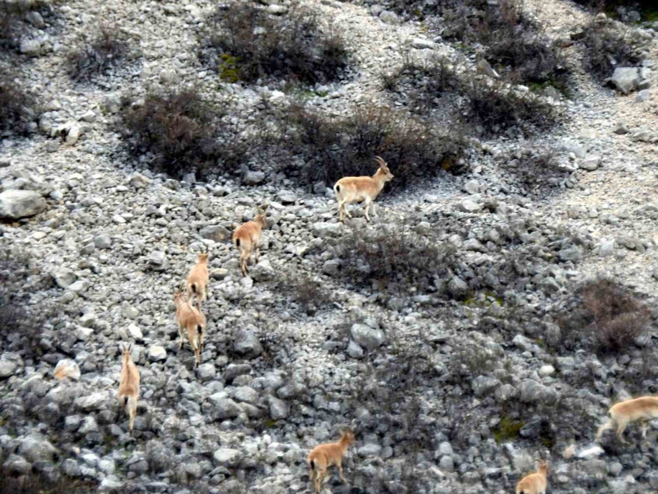 2015 yılında uydu üzerinden keşfedilen Munzur’daki buzul yerinde görüntülendi